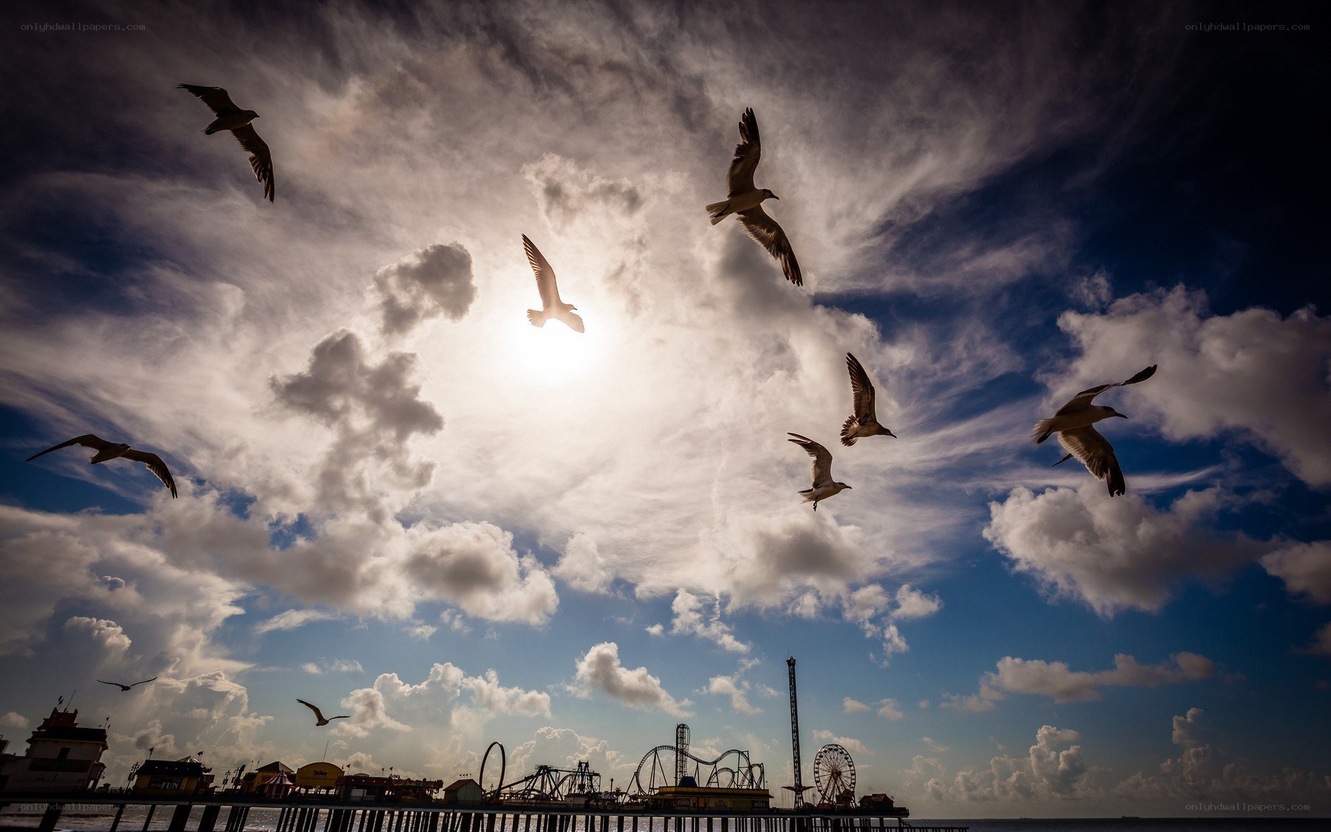 Seagulls flying over a pier