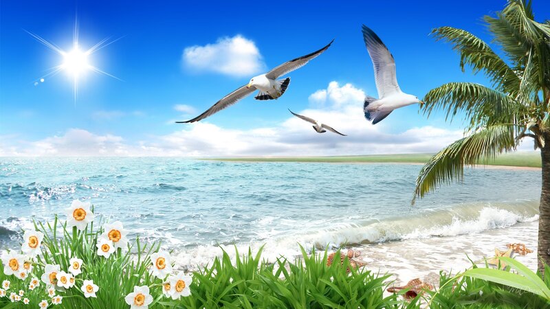 Seagulls Flying over Beach — Blue, Serene, Afternoon, Digital Art