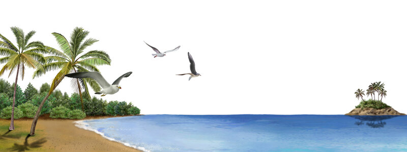 Seagulls Flying over Beach — Blue, Serene, Afternoon, Illustration