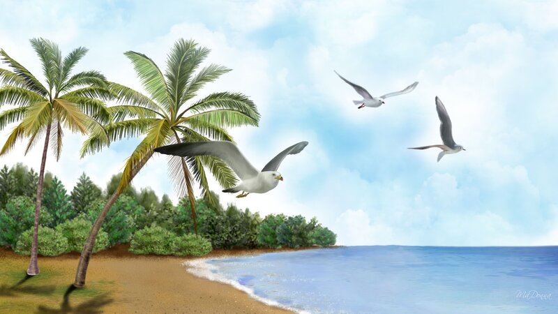 Seagulls Flying over Beach — Blue, Serene, Afternoon