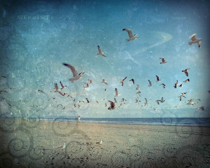 Seagulls Flying over Beach — Blue, Serene