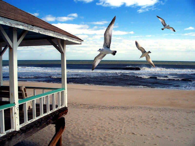 Seagulls flying over beach gazebo