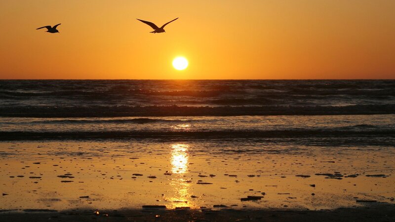 Seagulls Flying over Beach — Orange, Serene, Sunset, Photograph, Sun