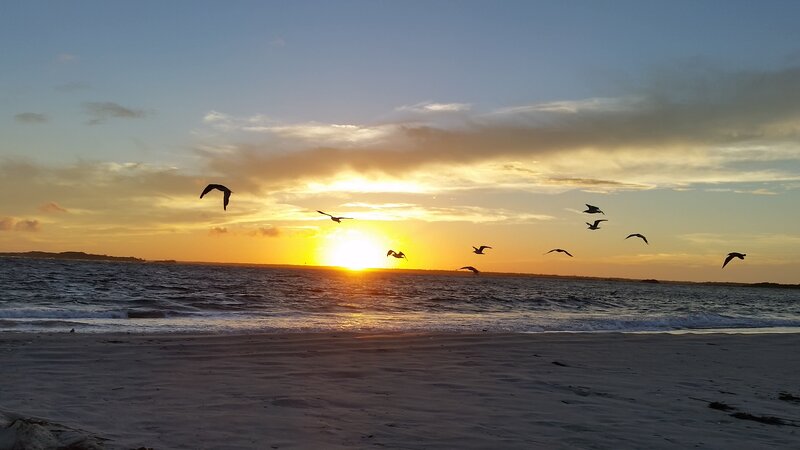 Seagulls Flying over Beach — Orange, Serene, Sunset, Photograph
