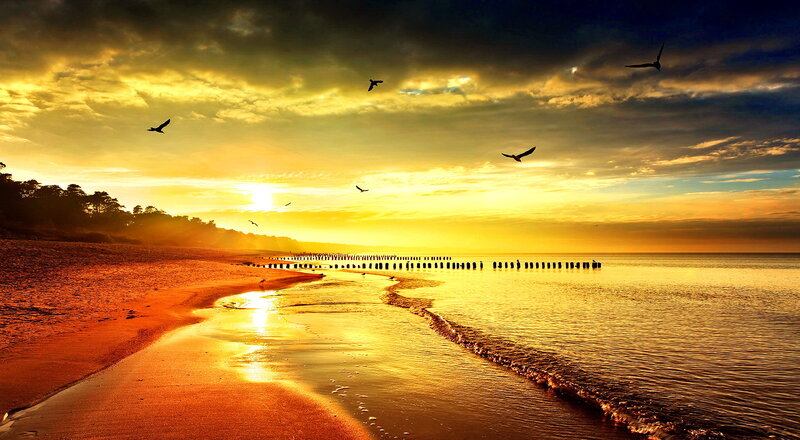 Seagulls Flying over Beach — Yellow, Dramatic
