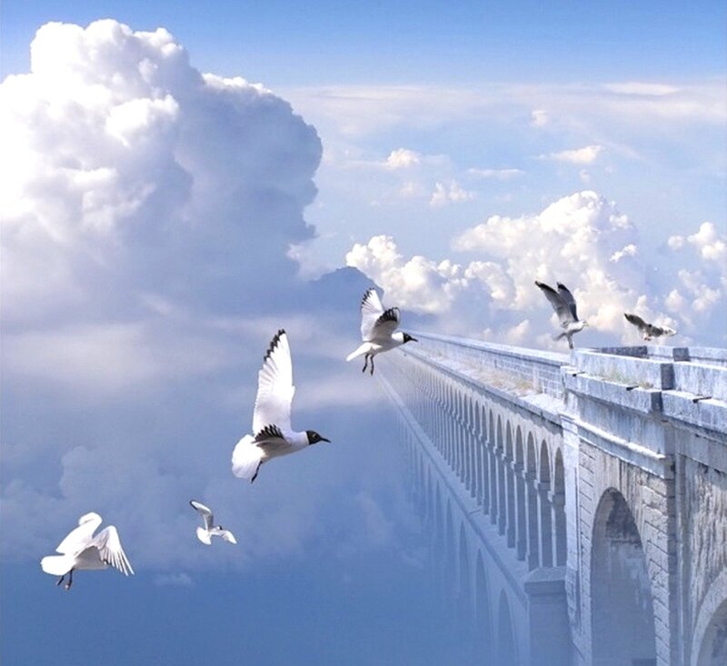 Seagulls Flying over Bridge — Blue
