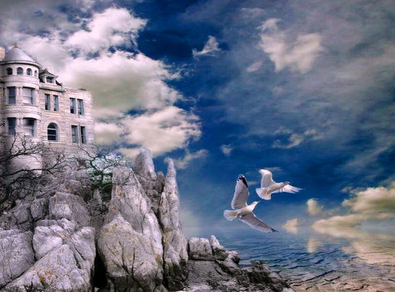 Seagulls Flying over Castle