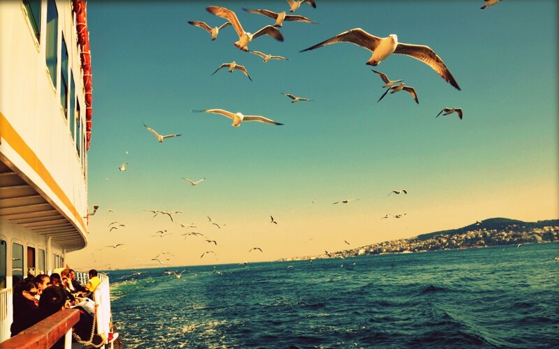 Seagulls Flying over Ferry — Blue