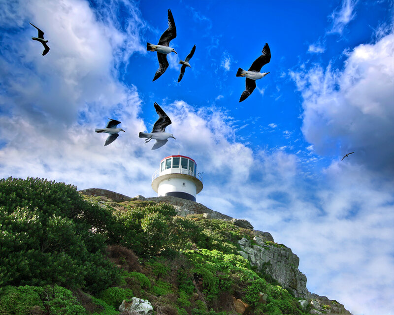 Seagulls flying over lighthouse