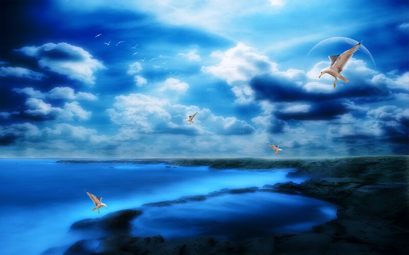 Seagulls Flying over Ocean — Blue, Dramatic, Night, Digital Art