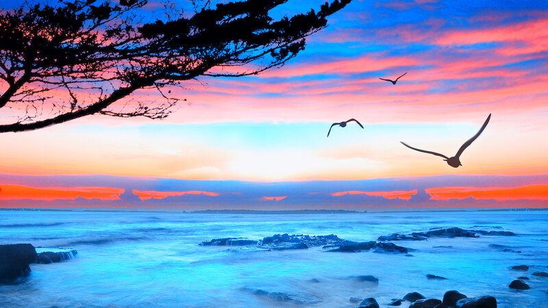 Seagulls Flying over Ocean — Blue, Serene, Sunset, Digital Art
