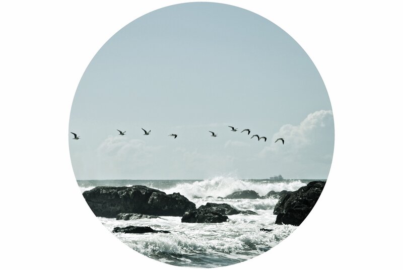 Seagulls Flying over Ocean — Gray
