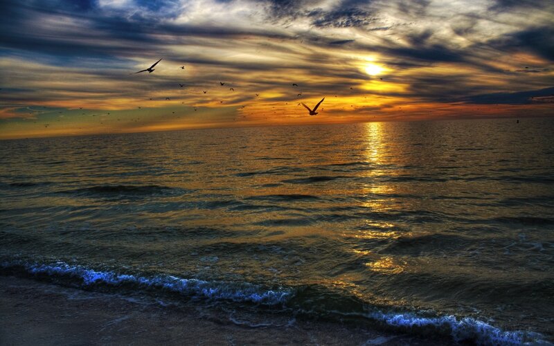 Seagulls Flying over Ocean — Orange, Dramatic, Sunset, Photograph, Birds, Sun