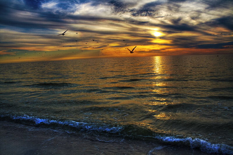 Seagulls Flying over Ocean — Orange, Dramatic, Sunset
