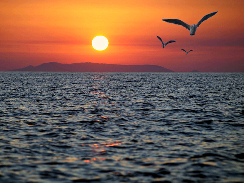 Seagulls Flying over Ocean — Orange, Serene, Sunset, Photograph