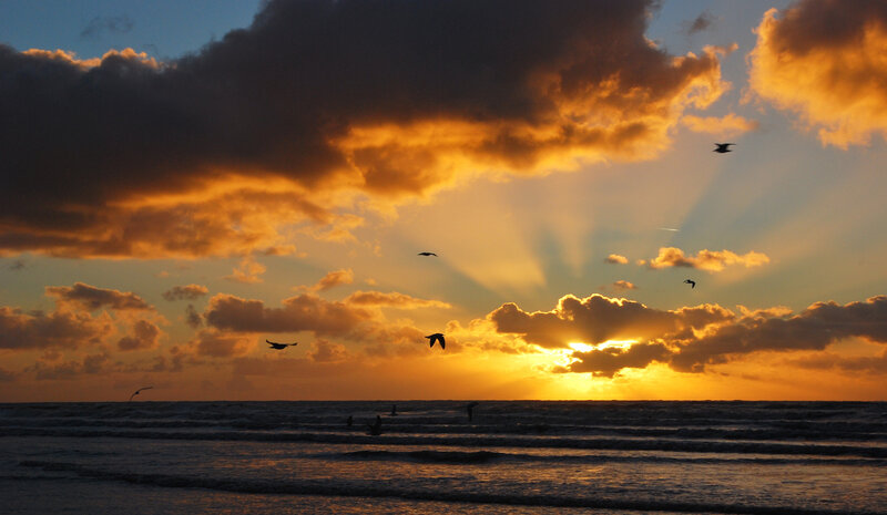 Seagulls Flying over Ocean — Orange