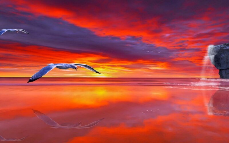 Seagulls Flying over Ocean — Red