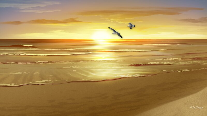 Seagulls Flying over Ocean — Yellow