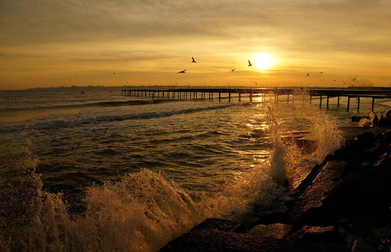Seagulls Flying over Pier — Gold