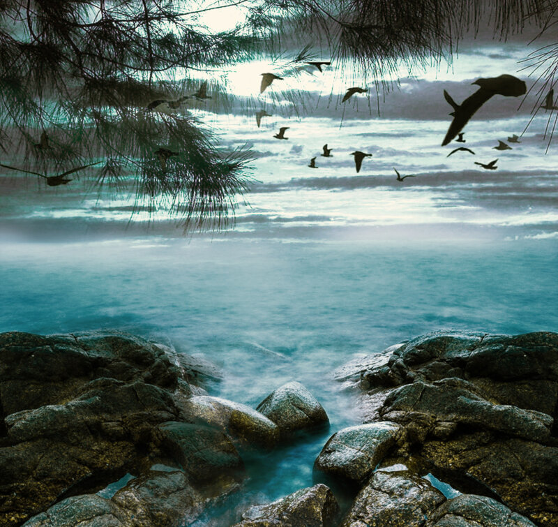 Seagulls Flying over Rocks — Blue