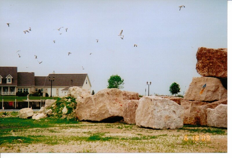 Seagulls Flying over Rocks — Green
