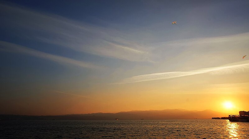 Seagulls Flying over Sea — Blue, Serene, Sunset