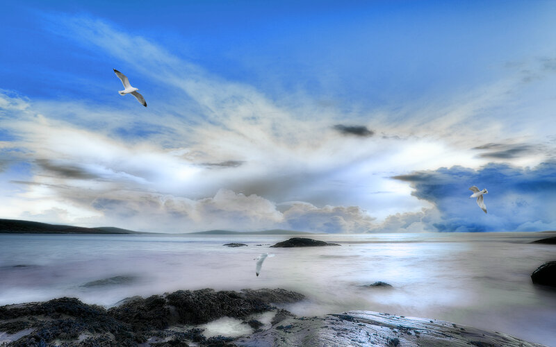 Seagulls Flying over Sea — Blue, Serene