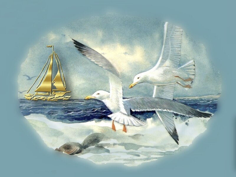 Seagulls Flying over Sea — Blue
