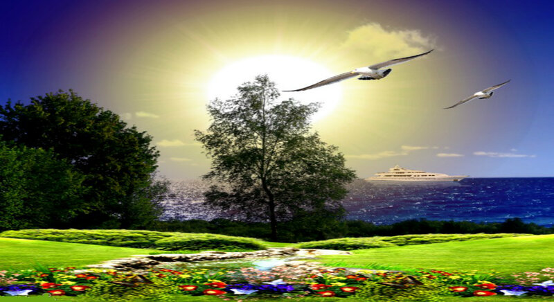 Seagulls Flying over Sea — Green