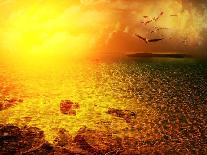 Seagulls Flying over Sea — Yellow