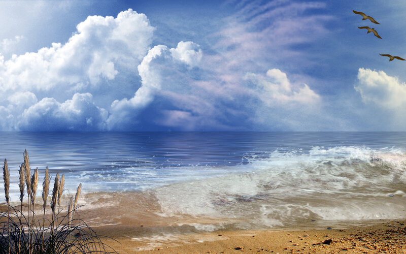 Seagulls flying over the ocean