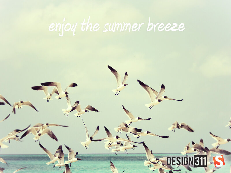 seagulls flying over the ocean
