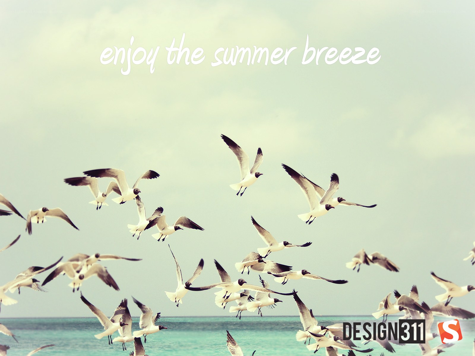 seagulls flying over the ocean