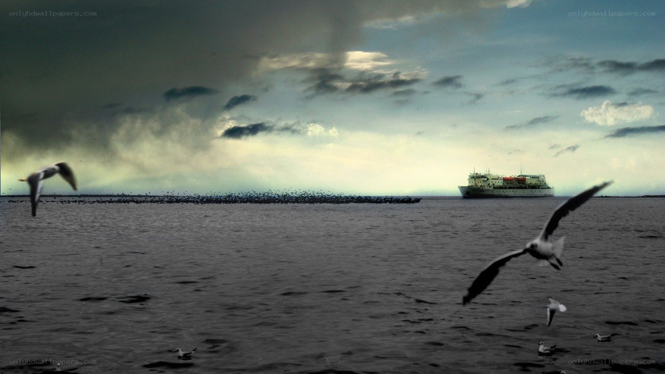 Seagulls flying over the sea
