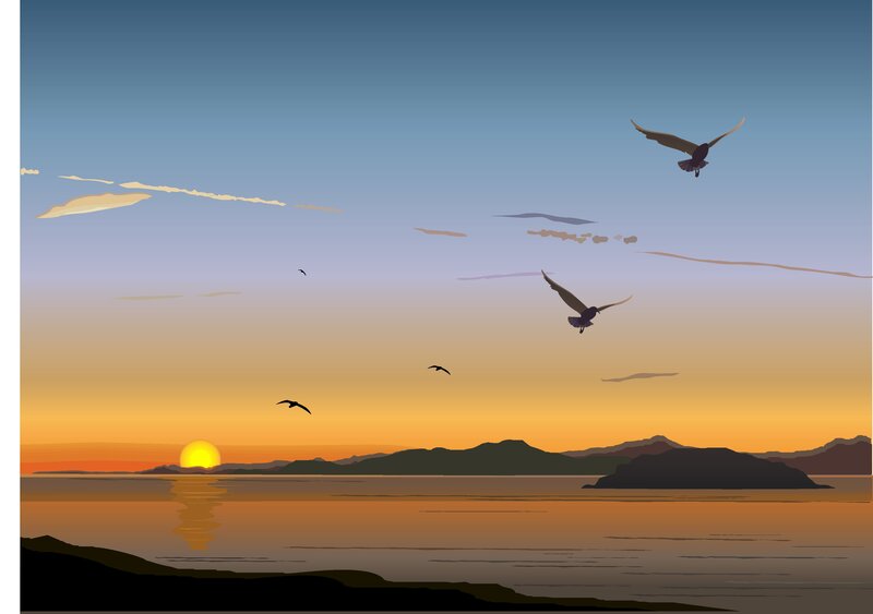 Seagulls Flying over Water — Orange, Serene, Sunset, Illustration