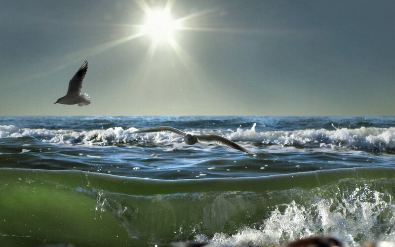Seagulls Flying over Waves — Blue, Dramatic