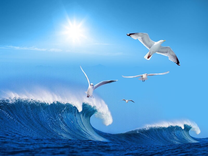 Seagulls Flying over Waves — Blue, Serene