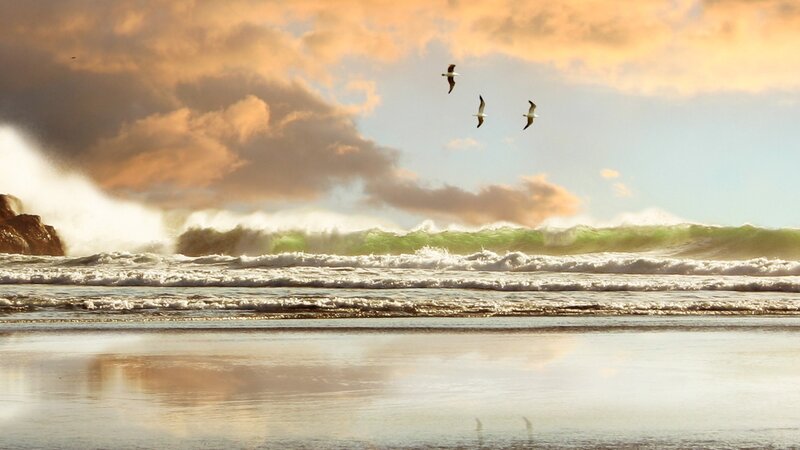 Seagulls Flying over Waves — Orange