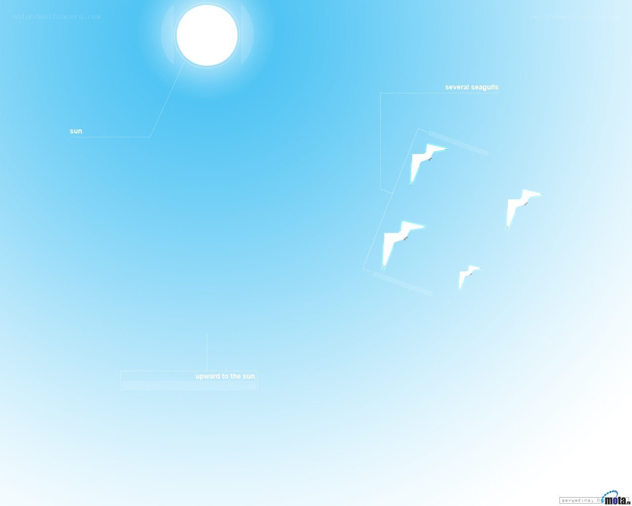seagulls flying upward to the sun