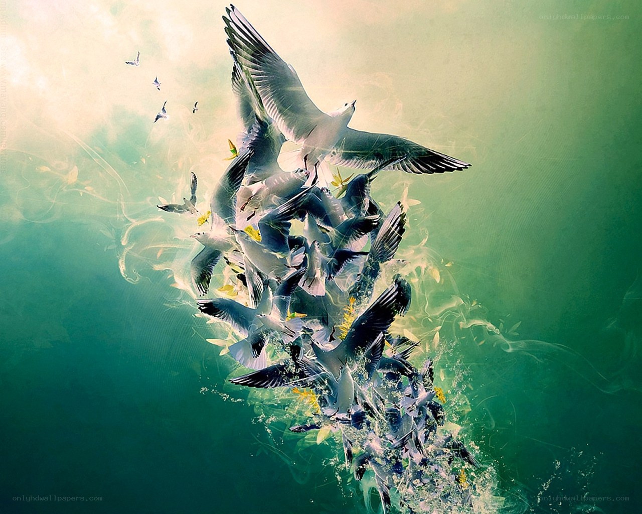 seagulls in flight
