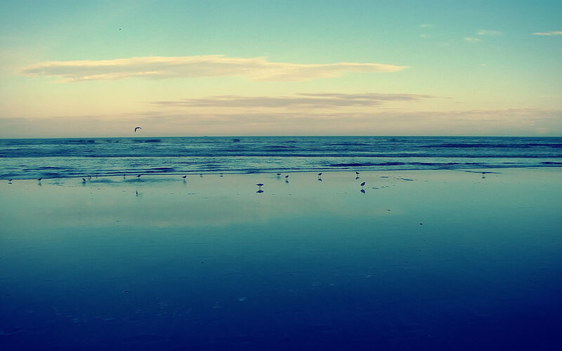 Seagulls on a calm beach