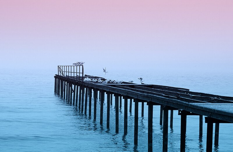 Seagulls on a Pier — Blue