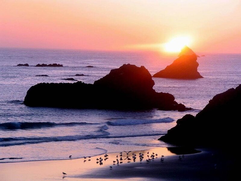 Seagulls on Beach at Sunset — Orange