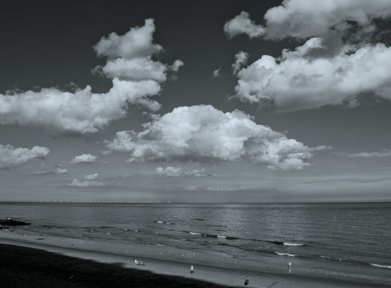 Seagulls on Beach — Black