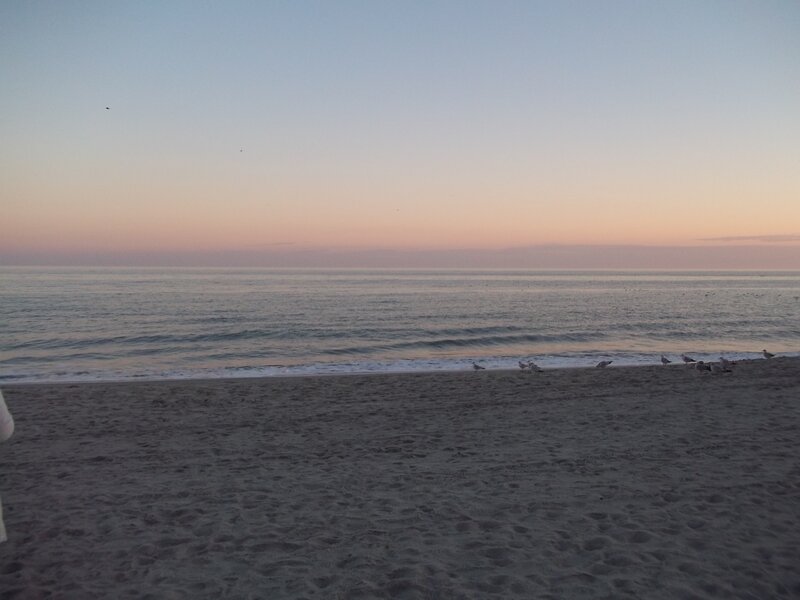 Seagulls on Beach — Blue, Calm