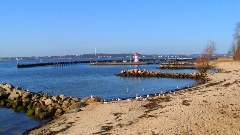 Seagulls on Beach — Blue, Serene, Afternoon, Photograph
