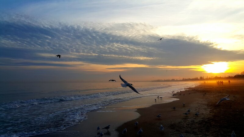 Seagulls on Beach — Blue, Serene, Sunrise