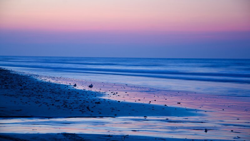 Seagulls on Beach — Blue, Serene, Sunset, Photograph