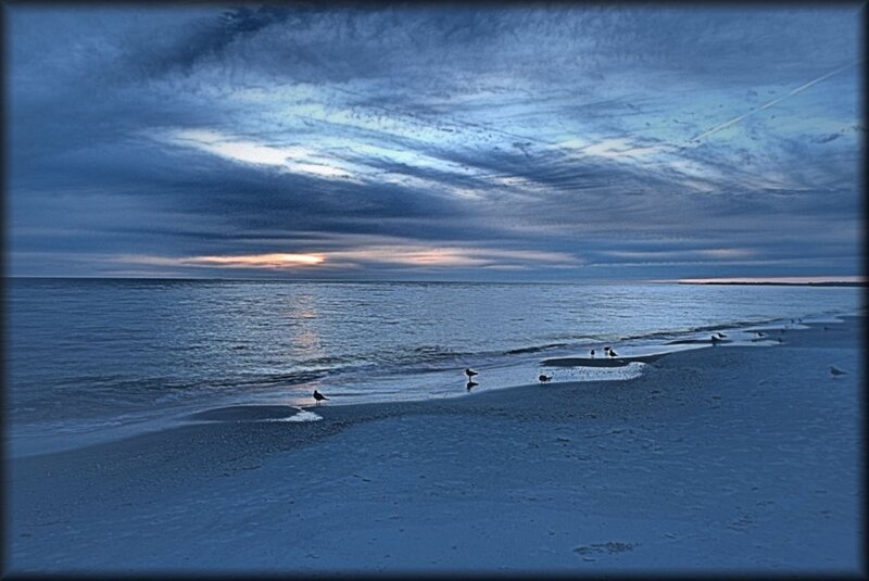 Seagulls on Beach — Blue