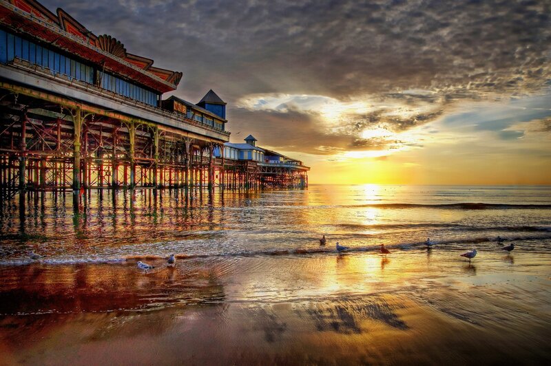 Seagulls on Beach — Gold, Dramatic